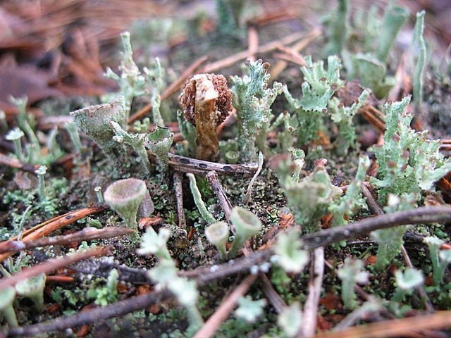 2008 01 Sorties traces 15